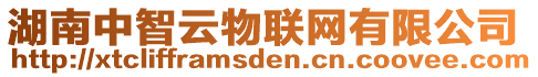 湖南中智云物聯(lián)網(wǎng)有限公司