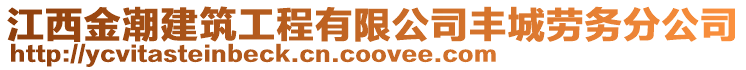 江西金潮建筑工程有限公司豐城勞務分公司