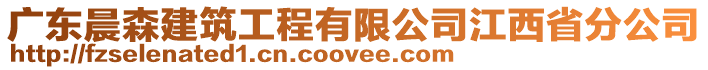 广东晨森建筑工程有限公司江西省分公司