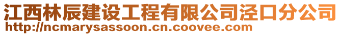 江西林辰建设工程有限公司泾口分公司