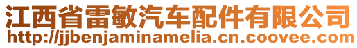 江西省雷敏汽車配件有限公司