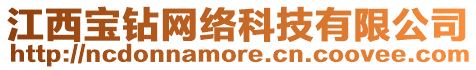 江西寶鉆網(wǎng)絡(luò)科技有限公司