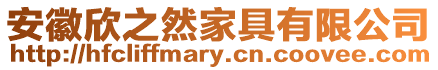 安徽欣之然家具有限公司