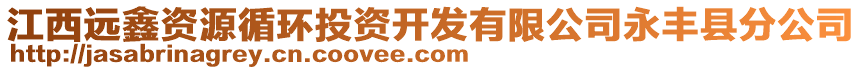 江西遠鑫資源循環(huán)投資開發(fā)有限公司永豐縣分公司