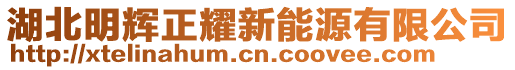 湖北明輝正耀新能源有限公司