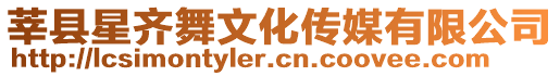 莘縣星齊舞文化傳媒有限公司