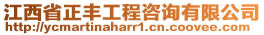 江西省正豐工程咨詢(xún)有限公司