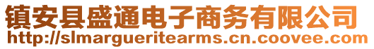 鎮(zhèn)安縣盛通電子商務(wù)有限公司