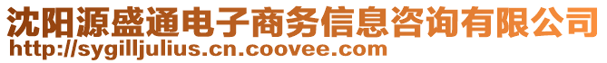 沈陽源盛通電子商務(wù)信息咨詢有限公司