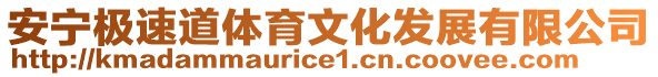 安寧極速道體育文化發(fā)展有限公司