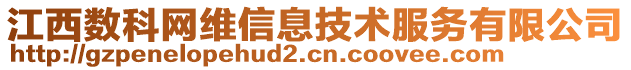 江西數(shù)科網(wǎng)維信息技術(shù)服務(wù)有限公司