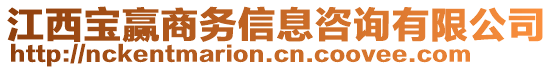 江西宝赢商务信息咨询有限公司