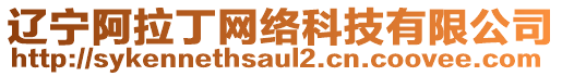 遼寧阿拉丁網(wǎng)絡(luò)科技有限公司