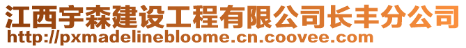 江西宇森建设工程有限公司长丰分公司