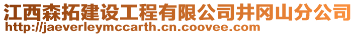 江西森拓建設(shè)工程有限公司井岡山分公司