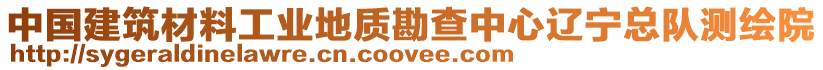 中國(guó)建筑材料工業(yè)地質(zhì)勘查中心遼寧總隊(duì)測(cè)繪院