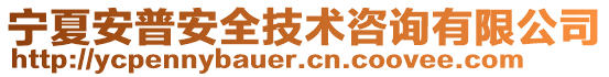 宁夏安普安全技术咨询有限公司