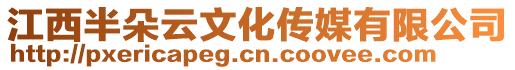 江西半朵云文化傳媒有限公司