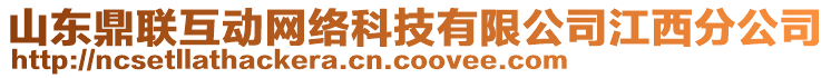 山東鼎聯(lián)互動網(wǎng)絡(luò)科技有限公司江西分公司