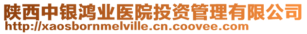 陜西中銀鴻業(yè)醫(yī)院投資管理有限公司