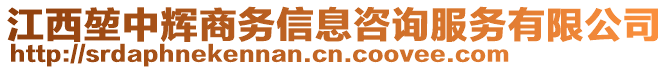 江西堃中輝商務信息咨詢服務有限公司