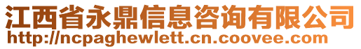 江西省永鼎信息咨詢有限公司