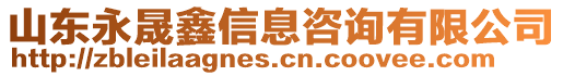 山東永晟鑫信息咨詢有限公司