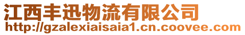 江西豐迅物流有限公司