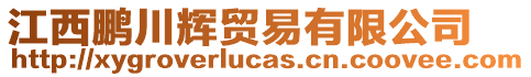 江西鵬川輝貿(mào)易有限公司