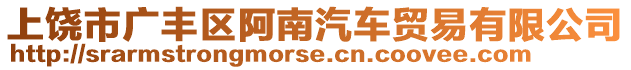 上饒市廣豐區(qū)阿南汽車貿(mào)易有限公司