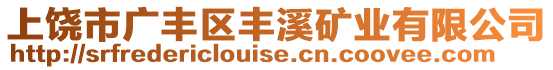 上饒市廣豐區豐溪礦業有限公司