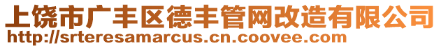上饒市廣豐區(qū)德豐管網(wǎng)改造有限公司