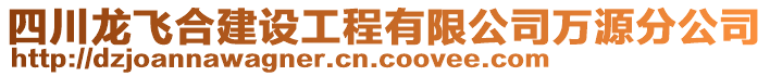 四川龍飛合建設(shè)工程有限公司萬源分公司