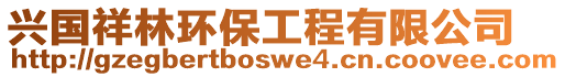 興國(guó)祥林環(huán)保工程有限公司