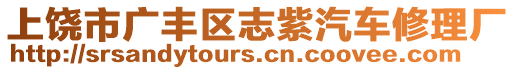 上饒市廣豐區(qū)志紫汽車修理廠