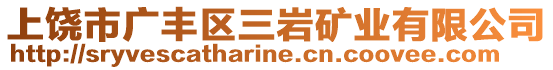 上饒市廣豐區(qū)三巖礦業(yè)有限公司