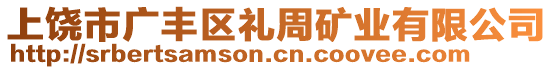 上饶市广丰区礼周矿业有限公司