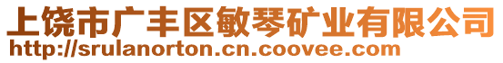 上饒市廣豐區敏琴礦業有限公司