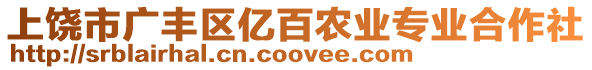 上饒市廣豐區(qū)億百農(nóng)業(yè)專業(yè)合作社