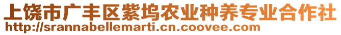 上饒市廣豐區紫塢農業種養專業合作社