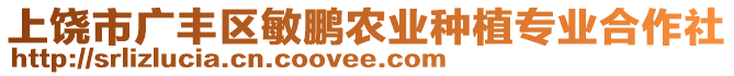上饒市廣豐區敏鵬農業種植專業合作社