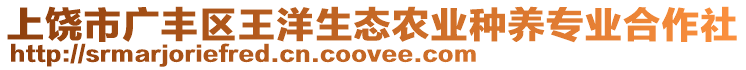 上饒市廣豐區(qū)王洋生態(tài)農(nóng)業(yè)種養(yǎng)專業(yè)合作社