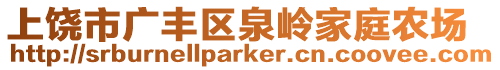 上饒市廣豐區泉嶺家庭農場