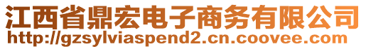 江西省鼎宏電子商務(wù)有限公司