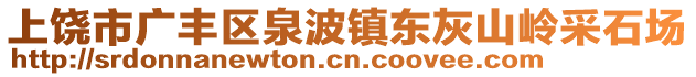上饒市廣豐區(qū)泉波鎮(zhèn)東灰山嶺采石場