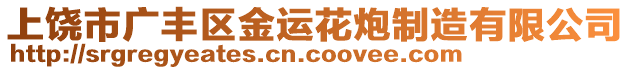 上饒市廣豐區(qū)金運(yùn)花炮制造有限公司