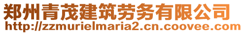 鄭州青茂建筑勞務(wù)有限公司