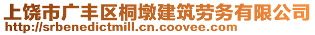 上饒市廣豐區(qū)桐墩建筑勞務(wù)有限公司