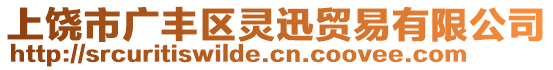 上饒市廣豐區(qū)靈迅貿(mào)易有限公司