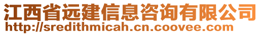 江西省遠(yuǎn)建信息咨詢有限公司